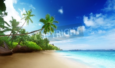 Papier peint  Palmiers tropicaux et plage