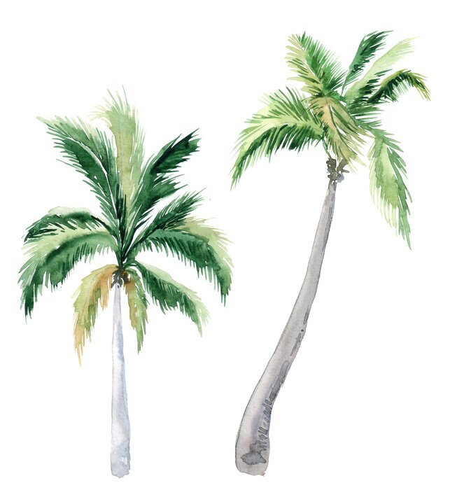 Papier peint  Palmiers tropicaux peints