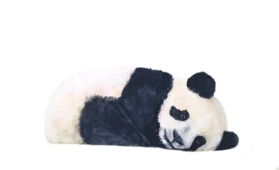 Panda aquarelle pensif
