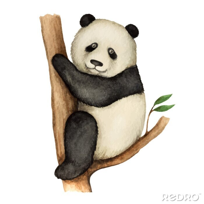 Papier peint  Panda assis sur l'arbre