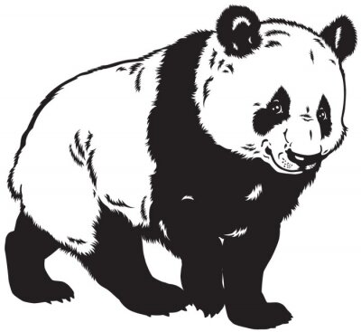 Papier peint  Panda noir et blanc