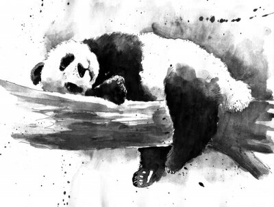 Papier peint  Panda sur une branche motif noir et blanc