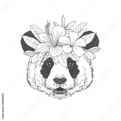Papier peint  Panda with floral wreath hand drawn sketch. Cute bear head black ink illustration. Extinct Chinese mammal with blooming Hibiscus, Plumeria, Strelitzia plants engraving. Animalistic tattoo idea