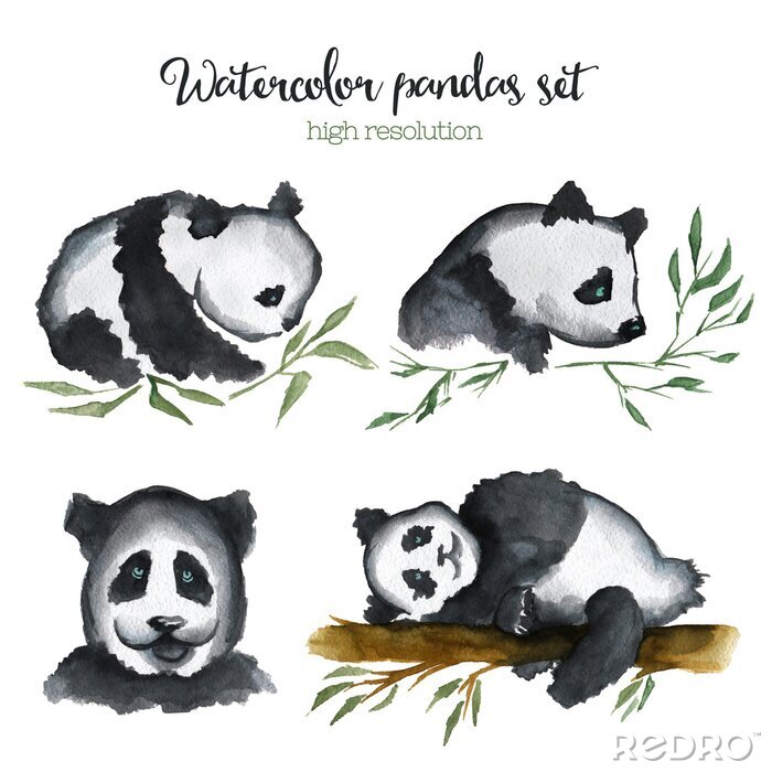 Papier peint  Pandas peints à l'aquarelle