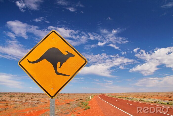 Papier peint  Panneau avec un kangourou en Australie