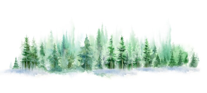 Papier peint  Panorama artistique d'une forêt