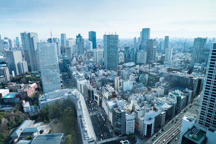 Papier peint  Panorama avec des gratte-ciel