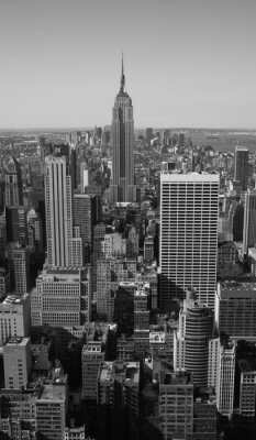 Panorama avec des immeubles en noir et blanc
