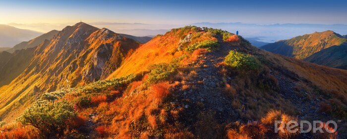 Papier peint  Panorama d'un sommet de montagne en automne