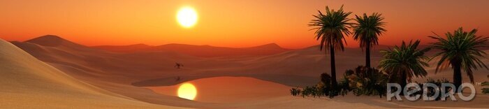 Papier peint  Panorama d'une oasis dans le désert