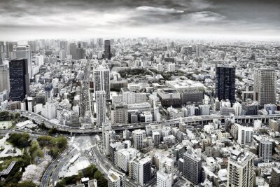 Papier peint  Panorama de métropole aux tonalités de gris