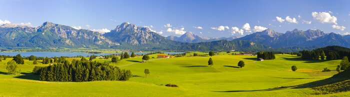 Papier peint  Panorama de montagne avec des champs et les Alpes