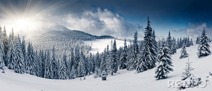 Papier peint  Panorama de montagne d'hiver