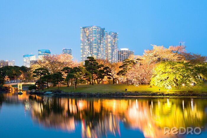 Papier peint  Panorama de Tokyo dans un jardin