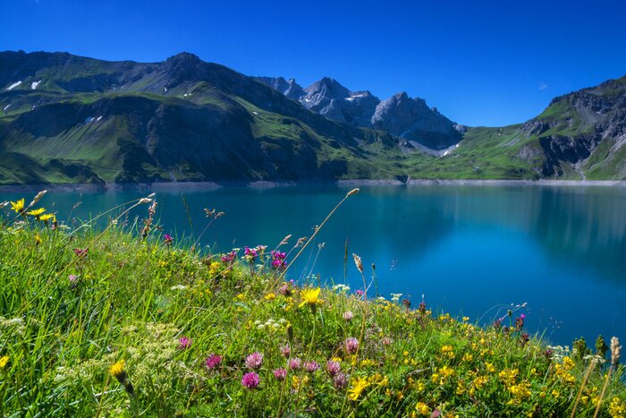 Papier peint  Panorama des montagnes avec des fleurs sur une prairie