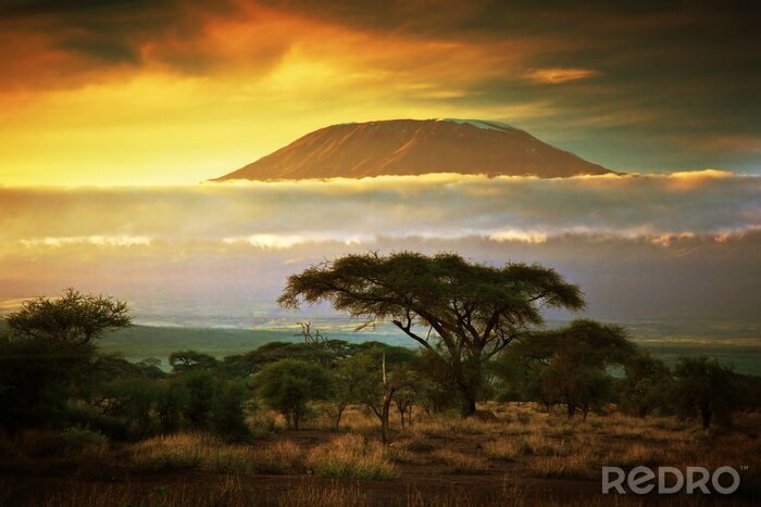 Papier peint  Panorama du Mont Kilimandjaro