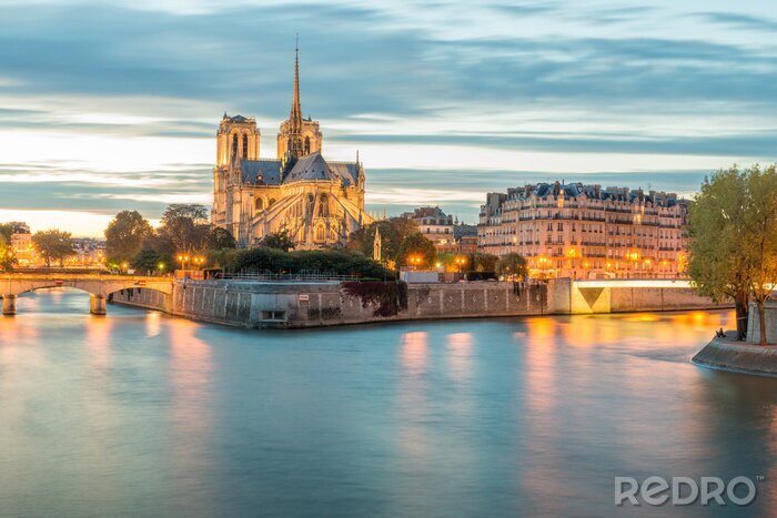 Papier peint  Panorama la Seine et Notre-Dame