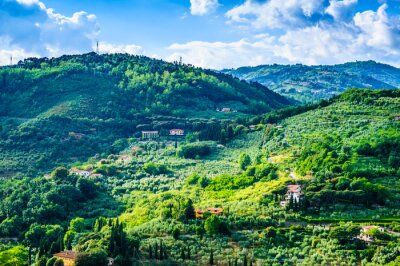 Papier peint  Panorama vert de la Toscane