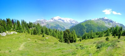 Papier peint  Panorama vert des Alpes