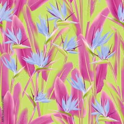 Papier peint  Papier peint floral.