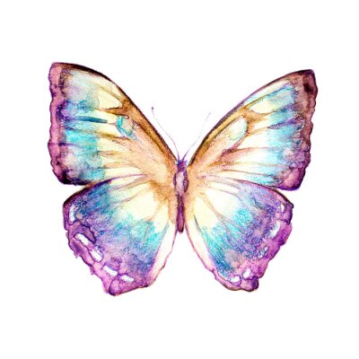 Papier peint  Papillon arc-en-ciel aux tonalités pastel
