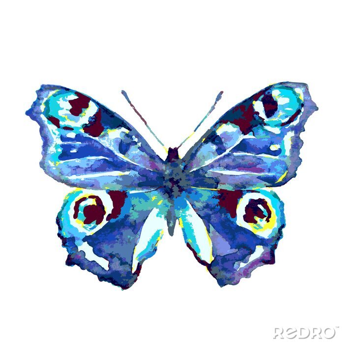Papier peint  Papillon avec des points sur les ailes