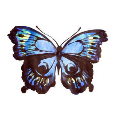 Papier peint  Papillon bleu style peinture