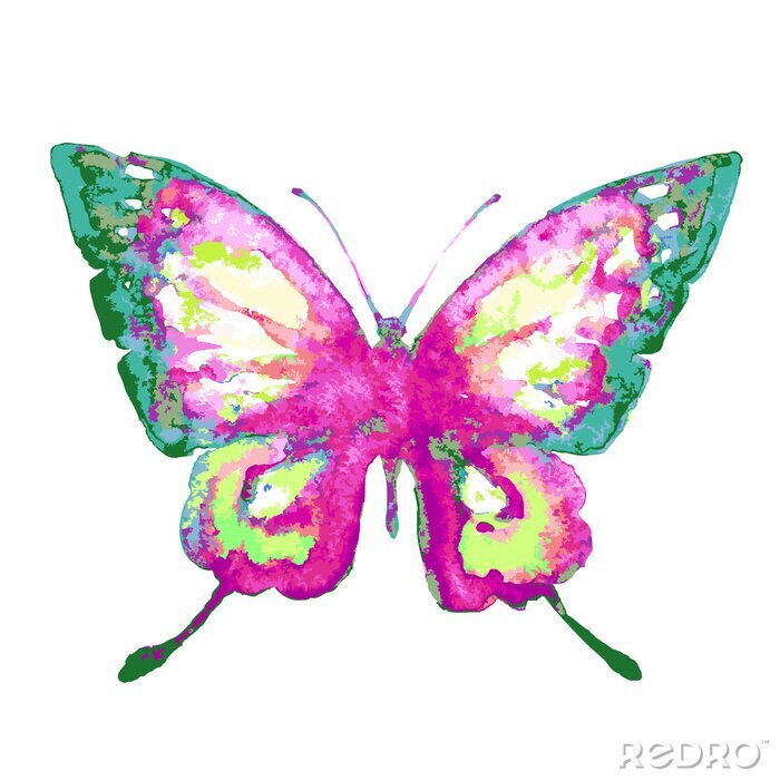 Papier peint  Papillon coloré aquarelle