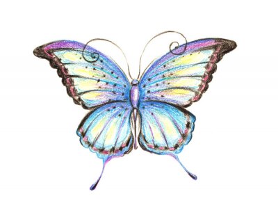 Papier peint  Papillon coloré au crayon de couleur