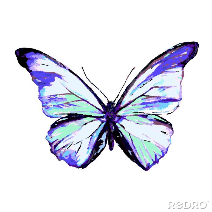 Papier peint  Papillon délicat bleu