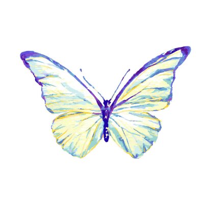 Papier peint  Papillon fragile blanc