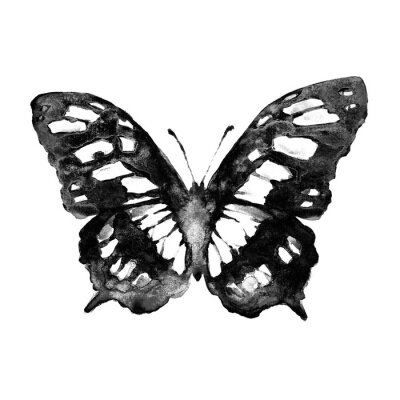 Papier peint  Papillon gris et blanc sur fond clair