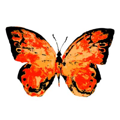 Papier peint  Papillon orange sur fond blanc