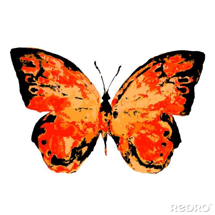 Papier peint  Papillon orange sur fond blanc
