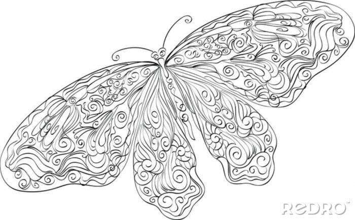 Papier peint  Papillon ornemental sur fond blanc