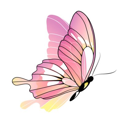 Papier peint  Papillon ravissant rose