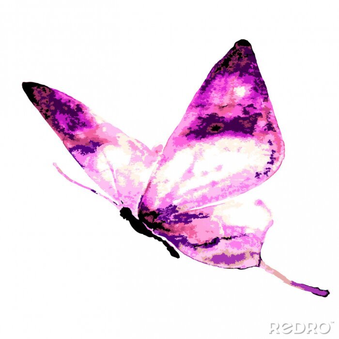 Papier peint  Papillon rose aquarelle