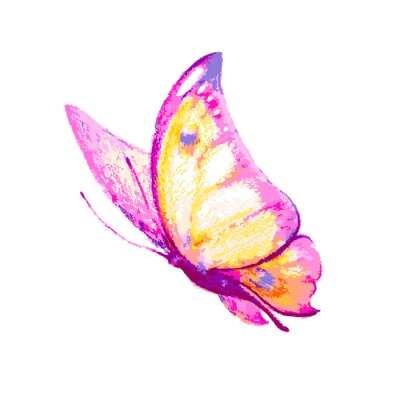 Papier peint  Papillon rose et jaune en mouvement