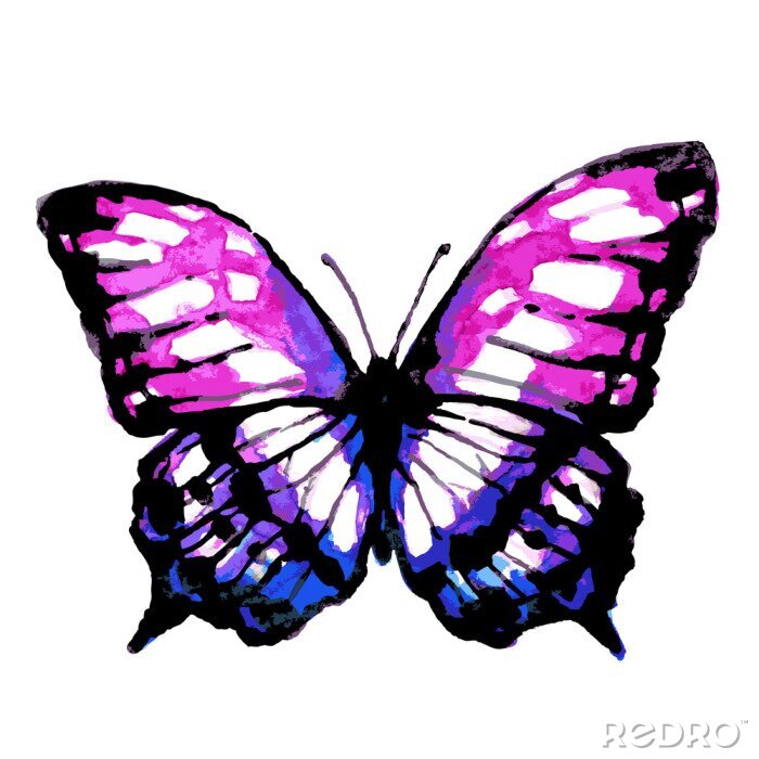 Papier peint  Papillon rose violet