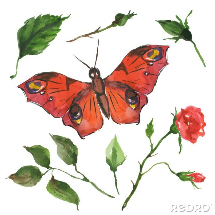 Papier peint  Papillon rouge avec une rose