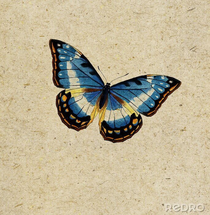 Papier peint  Papillon sur fond beige