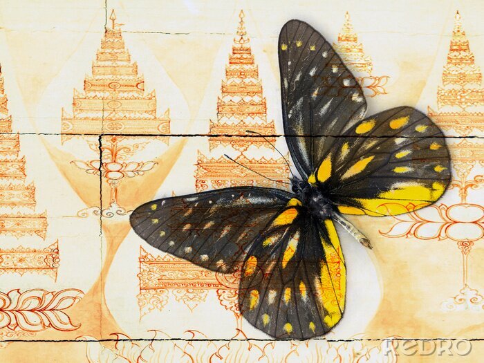 Papier peint  Papillon sur fond d'architecture