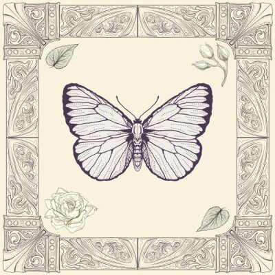 Papier peint  Papillon sur fond d'image ornementale