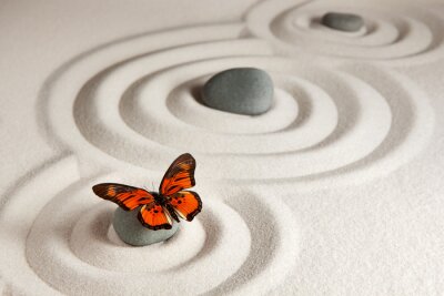 Papier peint  Papillon sur fond de pierres