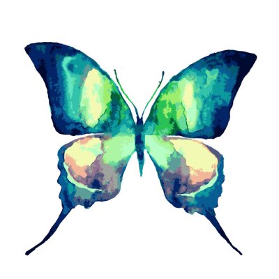 Papier peint  Papillon turquoise aquarelle