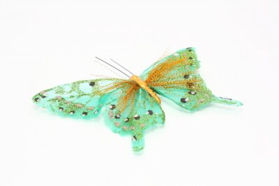 Papier peint  Papillon turquoise sur fond blanc