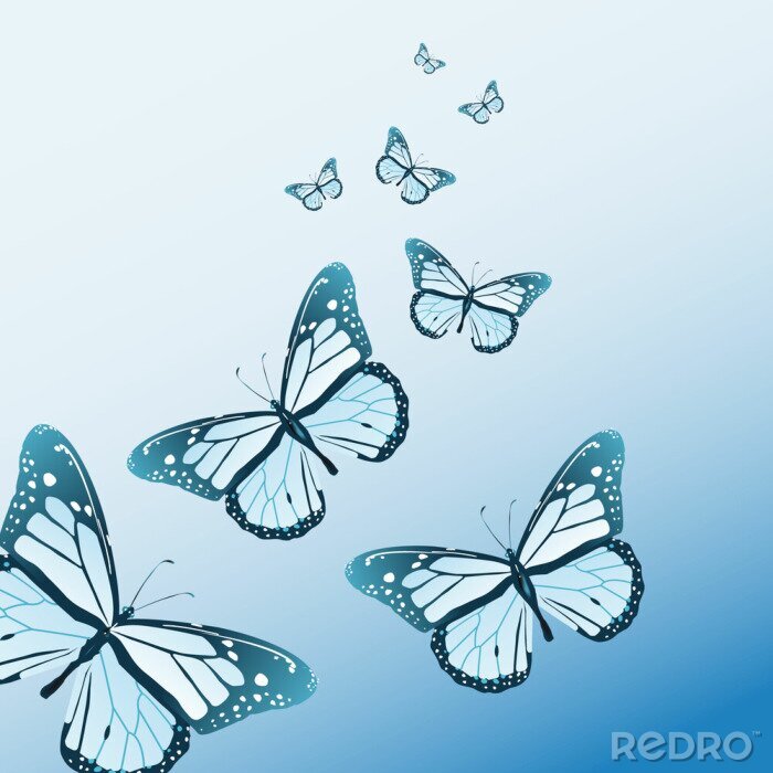 Papier peint  Papillons 3D sur fond bleu