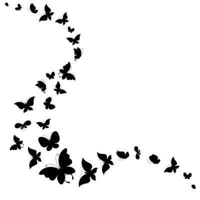 Papier peint  Papillons au vol noir et blanc