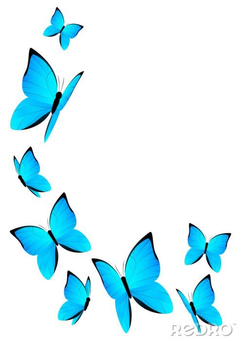 Papier peint  Papillons bleus pour une petite fille