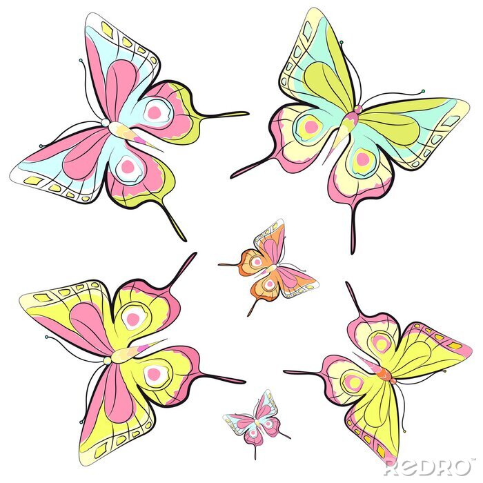 Papier peint  Papillons colorés petits et grands